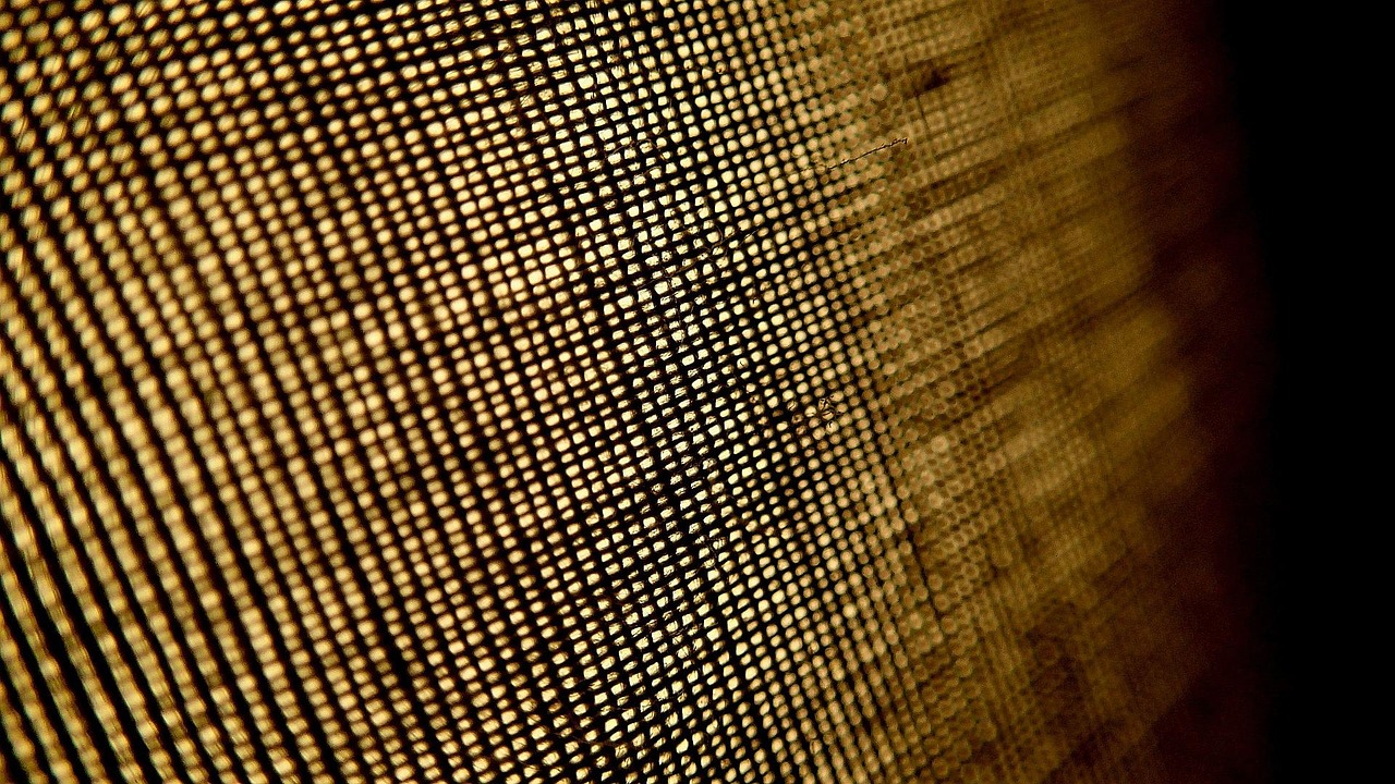 Cotton textile fabric weave macro